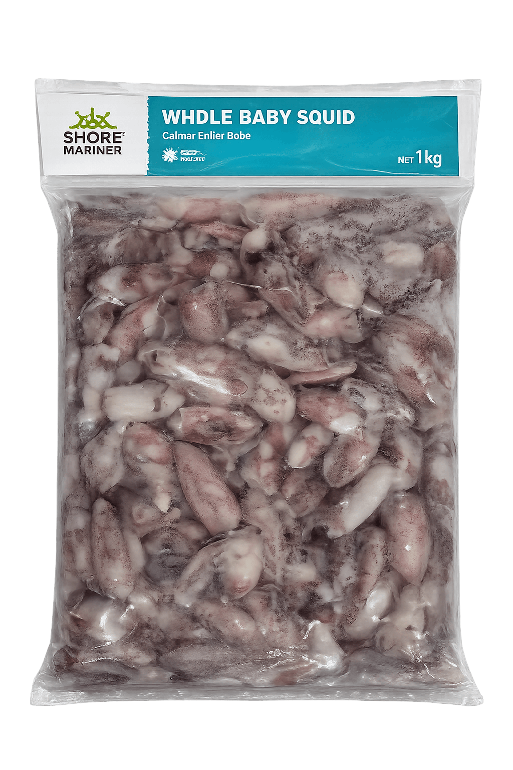 Shore Marine Baby Squid